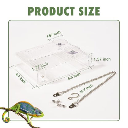 Bearded Dragon Feeder, Reptile Hunting Bowl with Calcium Powder Slot， Acrylic Chameleon Feeding Box, Wall-Mounted Insect Feeder for Lizard, Iguana, Gecko, Frog (Small) - color: Small Feeder Box