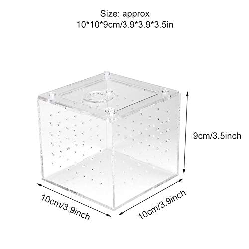 GLOGLOW Nan Clear Acrylic Reptile Viewing Box, Durable Feeding Container for Tarantula and Gecko, 3.9x3.9x3.5 Inch with Ventilation Holes Crawler Breeding Tools, Reptile Hatching Supplies