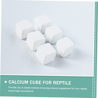 SaditY 30 Pcs Terrapin Calcium Reptisoil Reptiles Turtle Calcium Turtle Supplies Bearded Dragon Calcium Powder Reptile Mineral Calcium Reptile Tank Calcium Stone White Box