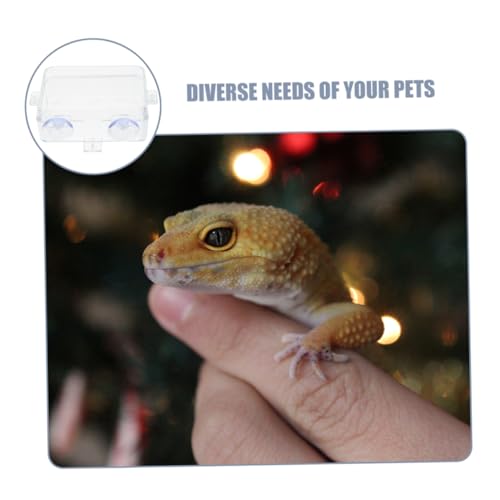 BESPORTBLE Suction Cup Food Bowl Reptile Accessory Bearded Dragon Water Bowl Multi-use Feeder Easy-Clean Reptile Dish