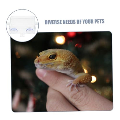 BESPORTBLE Suction Cup Food Bowl Reptile Accessory Bearded Dragon Water Bowl Multi-use Feeder Easy-Clean Reptile Dish