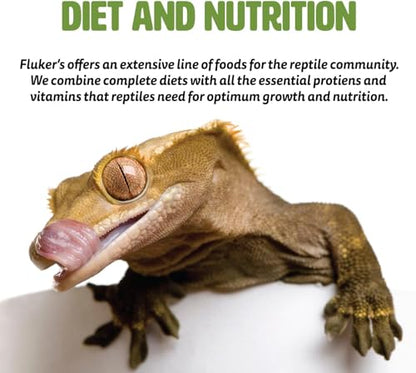 Fluker's Grub Bag Calcium Fortified Tortoise Treats, All Natural Herbivore Blend Fruits and Vegetables, for Tortoise and Herbivore Pets, 4 oz