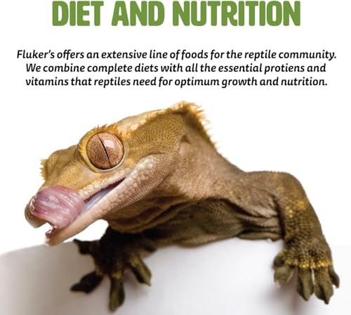 Fluker's Gourmet Canned Food for Reptiles, Fish, Birds and Small Animals, Small Dubia Roaches, 1.2 oz - size: 1.2 Ounce (Pack of 1), style: Small Dubia Roaches