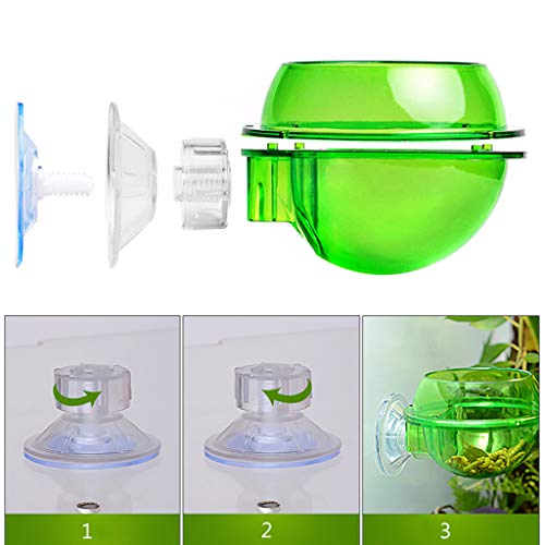 Suction Cup Reptiles Feeder Bowl Anti-Escape Food Bowl Drinker Bowl for Tortoise Iguana