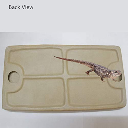Reptile Feeding Dish Bowl Food and Water Bowl Tortoise Dish Reptile Tank Decor, Heavy Duty Ceramic Feeding Dish, Large Size
