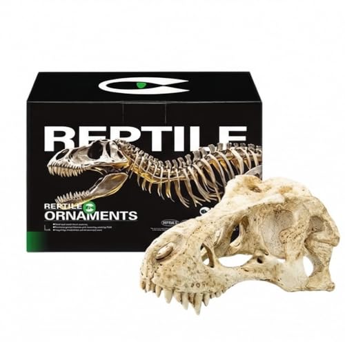 CLEEN T-Rex Skull Reptile Hide - Dinosaur Bone Terrarium Decor for Lizards Snakes Bearded Dragon, Realistic Fossil Cave Aquarium Tank Accessories (Medium) - size: Medium