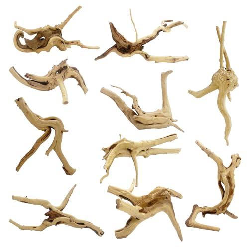 10 Pcs Large Natural Spider Wood for Aquarium 4-6", Aquarium Drift Wood, Assorted Size Spider Wood, Twisted Branches Trunk for Fish Tank, Aquascaping, Reptile Climbing Branch, Terrarium Decor - color: Spiderwood 4-6in(10PCS)