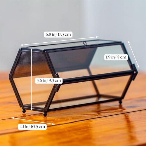 NCYP Small Glass Terrarium Enclosure with Mesh & Door for Tiny Beetle, Jumping Spiders, Hexagon Vented Glass Terrarium 6.8'' x 4.1'' x 3.6'', Indoor Decor, Black (Plants Not Include) - size: 6.8'' x 4.1'' x 3.6''