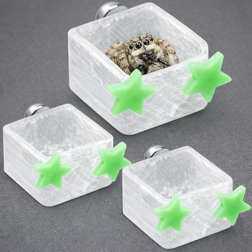 3 Pcs Magnetic Jumping Spider Feeding Dish Jumping Spider Enclosure Accessories Star-Shaped Design Reptile Water Bowl for Other Small Reptiles or Insects (Transparent + Light Green) - color: Transparent + Light Green