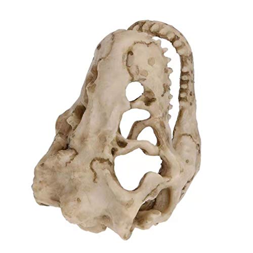 2Pcs Aquarium Decoration Dinosaur Skull Skeleton Fish Tank Cave Pet Reptile | Desert Reptile Bearded Dragon Snake Tank Decor Hideaway for Fish Natural Look Fun Underwater Environment