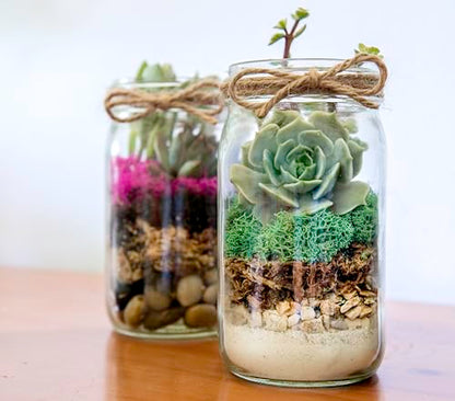 SuperMoss (90412) Terrarium Kit DIY Jar - Newport 32oz - color: Newport