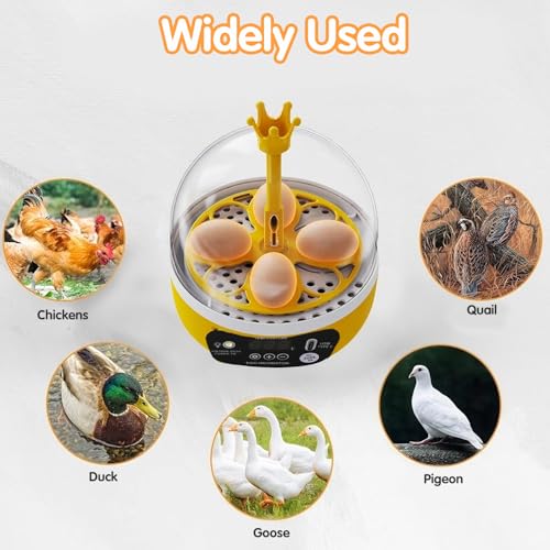 Tissting 4 Eggs Mini Incubator with Transparent Lid,7W Automatic Temperature Humidity Control,Household Small Poultry Hatching Machine,for Chickens Ducks Pigeons (Manual Turning) - color: 4 Eggs Manual Turning