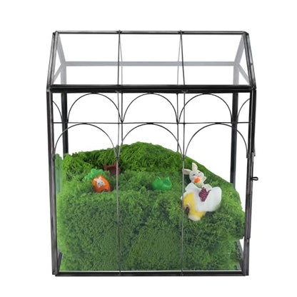 HighFree Geometric Plant Terrarium with Lid, House Succulent Terrarium Kit for Succulents Cacti Snail, Home Tabletop Miniature Terrarium (Black with Side Door) - color: Black With Side Door
