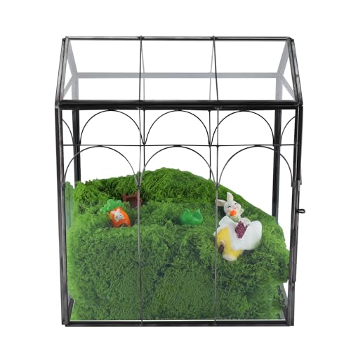 HighFree Geometric Plant Terrarium with Lid, House Succulent Terrarium Kit for Succulents Cacti Snail, Home Tabletop Miniature Terrarium (Black with Side Door) - color: Black With Side Door