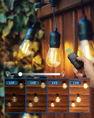DEWENWILS Outdoor Dimmer for String Lights, Two-Remote Control Dimmable Plug, 100FT Range, Waterproof Plug in Dimmer for Dimmable LED/Tungsten Bulbs - style: Dimmer with 2 Remotes