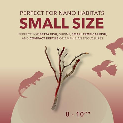 Manzanita Driftwood for Small Aquariums & Reptile Tanks (8-10”") 5–10 Gallon Tank | Natural Aquascaping & Terrarium Decor | Hardwood Branches, Unique Shapes | Betta Fish, Shrimp, Gecko, Frogs - size: Small
