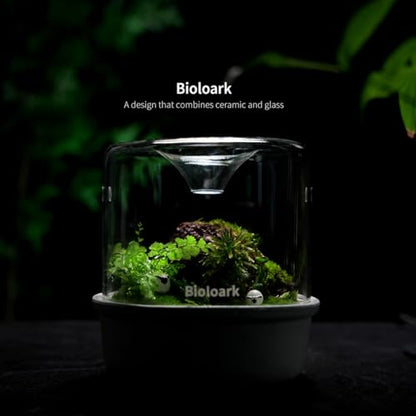 Bioloark MY-150K Glass Plant Terrarium with Ceramic Base, 6.4” x 6.7” Black, Moss Terrarium Container with Clear Glass Cover, Ventilation Holes, Moisture Cycle Lid for Ferns, Succulents & Small Plants - color: MY-150K (6.4 "X6.7")Black