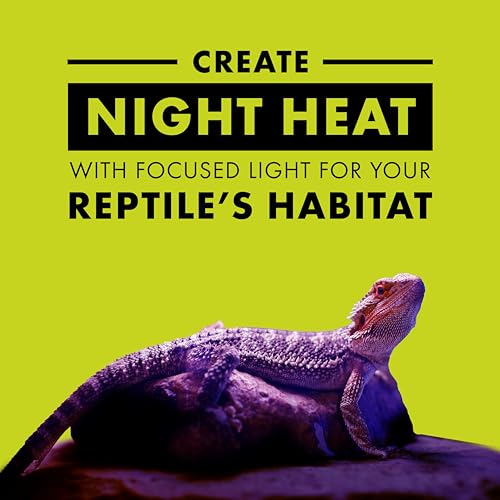 Zilla Incandescent Spot Bulb, for Nocturnal Reptile Species, Night Black - size: Pack of 1, style: Night Black (100W)