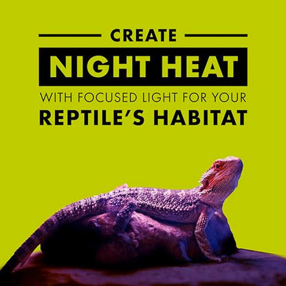 Zilla Incandescent Spot Bulb, for Nocturnal Reptile Species, Night Black - size: Pack of 1, style: Night Black (100W)