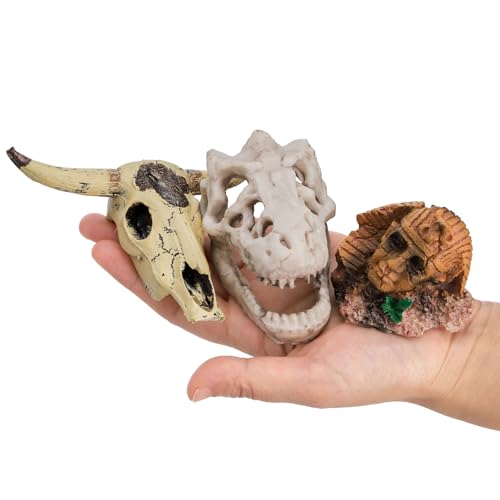 Lawei 4 Pieces Aquarium Resin Skull Ornaments, Desert Reptile Hideouts Decorations, Human Skeleton Dinosaur Cattle Skull for Fish Tanks Decorative, Small Decor Statue Cave Landscape Pet Reptile House