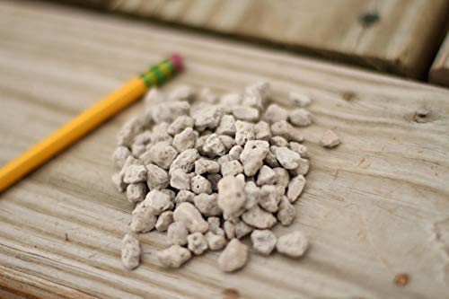 Tinyroots Horticultural Pumice Soil Additive - Succulents, Cactus, Bonsai & Other Plants - 100% Pure Volcanic Rocks + 1/4 inch Soil Additive, No Artificial Coloring, No Dyes, No Chemicals (2.5 Gallon) - size: 2.5 Gallon