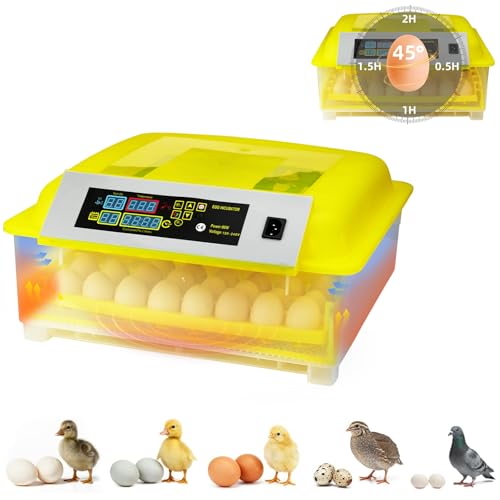 Egg Incubator for Hatching Eggs, 56 Egg Capacity with Automatic Egg Turner | Digital Humidity Control, Clear Temperature Display, Externa, 360° Clear Viewing for Poultry, Ducks, Quail