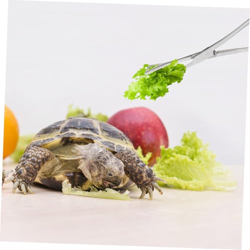 Stainless Steel Reptile Feeding Tong for Snakes Long Handle Snake Feeding Tongs Reptile Catching Tool Gentle Tips