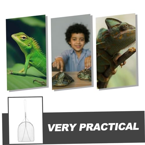 VICASKY Stainless Steel Reptile Sand Shovel Fine Mesh Filtering Scoop for Turtles Lizards Snakes and Geckos for Cleaning Substrate and Waste in Terrariums