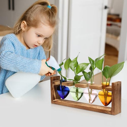 Plant Propagation Stations Heart Plant Terrarium Kit Gift for Women Plant Lover Glass Vases - color: Color02