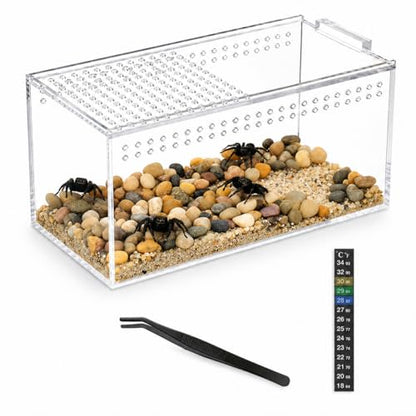 Acrylic Jumping Spider Enclosure Kit,Reptile Tank Escape Proof,Breathable Reptile Terrarium-High Transparency-Tweezer & Temp Sticker Included【No Assembly】