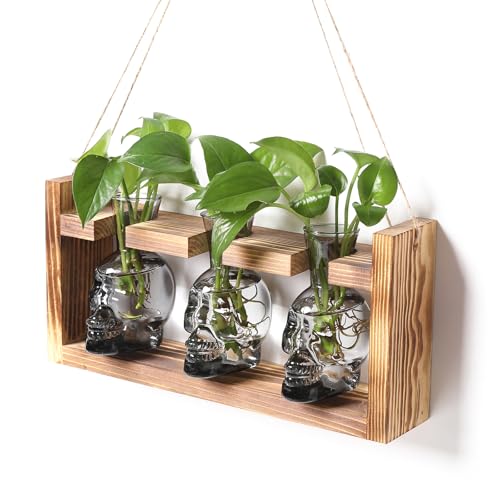 Plant Terrarium Propagation Stations Hydroponics Halloween Skull Planter | Vase skulls decor With Wooden Stand Gife for Father - color: Grey