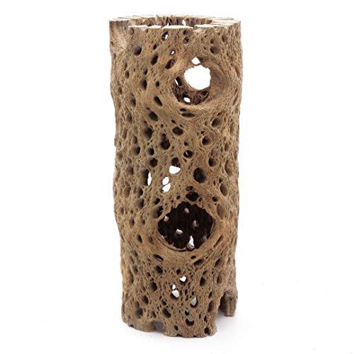 3 to 48 Inch All Natural Teddy Bear Cholla Wood Extra Hollow Large Untreated Organic Aquarium Driftwood Decoration Chew Toy Shrimp Crab Multi-Quantity - size: 1 Piece, 6 inch