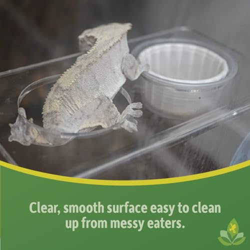 Josh's Frogs Acrylic Feeding Ledge (Holds 2-2 oz Cups) - size: For 2oz Cups