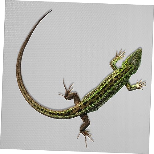 BESPORTBLE Reptile Carpet Mat for Bearded Dragons Snakes Lizards Tortoises Soft Terrarium Liner Easy to Clean Suitable for Reptile Tanks and Habitats