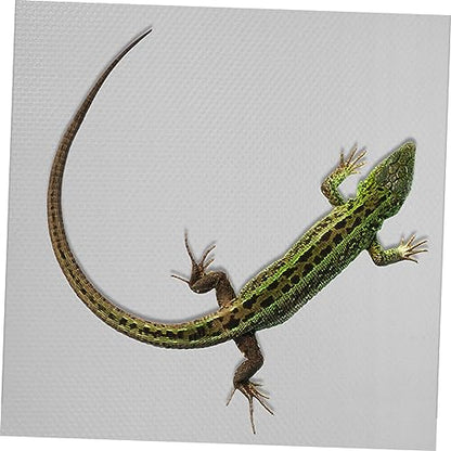 BESPORTBLE Reptile Carpet Mat for Bearded Dragons Snakes Lizards Tortoises Soft Terrarium Liner Easy to Clean Suitable for Reptile Tanks and Habitats