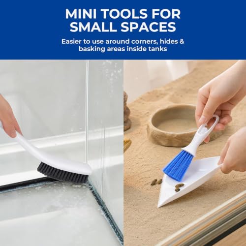 Reptile Tank Cleaner - with Dustpan Brush Feeding Tongs | Lizard Gecko Tank Cleaning Kit | for Lizard Gecko Snake Turtle Frog Home Terrarium Enclosure