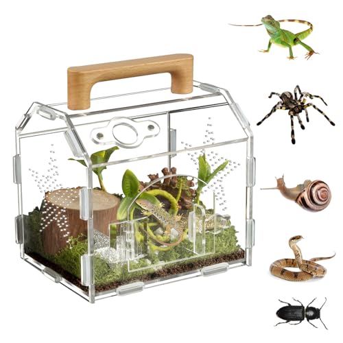 Acrylic Jumping Spider Habitat, Reptile Terrarium Easy Assembly, Bug Enclosure, Praying Mantis Habitat, Frog Enclosure (Small-6.3 * 4.7 * 6.7in) - size: Small-6.3*4.7*6.7in