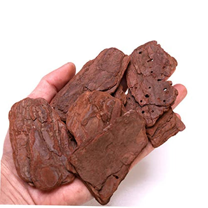 1pack Reptiles Box Pine Bark Landscaping Material Pack of Fine Polished Adornment for Terrarium Decor Safe for Reptiles Adds Natural Beauty to Habitat Present for Enthusiasts