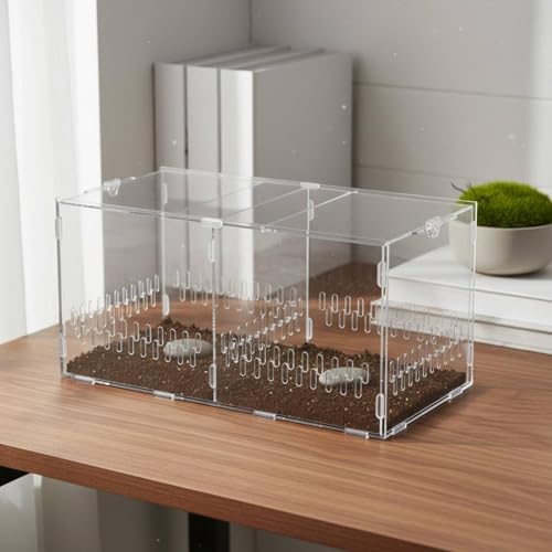 Acrylic Habitat Clear Observation Reptile Cage Secure Closure Multiple Ventilation Holes Suitable for Pet Feeding Home Display, Double Door Small - style: Double Door Small