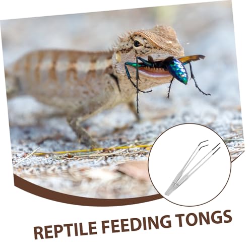jojofuny 2pcs Curved Stainless Steel Reptile Feeding Tongs with Gentle Rubber Tips for Snake Tanks and Aquariums Durable Lightweight Easy to Use Snake Accessories
