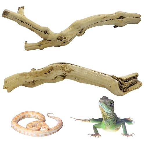 Reptile Branch Decor 2 Pack Snake Climbing Wood Branches Lizard Habitat Decorations Terrarium Natural Forest Tree Trunk Ornament for Bearded Dragon Geckos Chameleon Frog - color: Wood, size: 11.8-13.77 inches