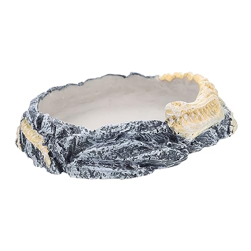 BESPORTBLE Wear-Resistant Decorative Reptile Bowl Water Dish for Turtles Lizards Snakes Feeding Drinking for Reptiles