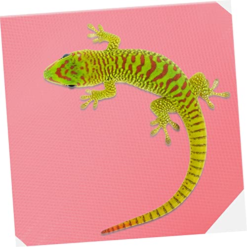 200m Reptile Carpet Liner for Terrariums Non- Substrate Mat for Snakes Lizards Tortoises Bearded Dragons Easy to Clean Material