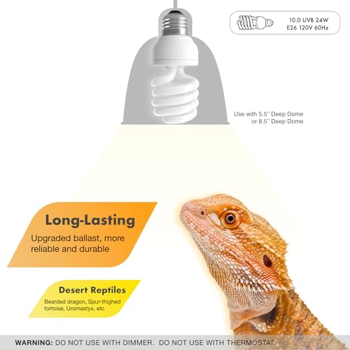 Dual Dome and 10.0 24W UVB Light Combo