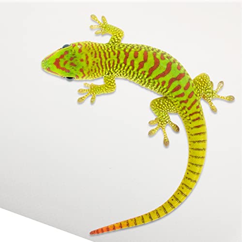 POPETPOP Reptile Carpet Mat for Snake and Lizard Terrarium Non- Bedding Washable Substrate for Bearded Dragons Tortoises and Geckos