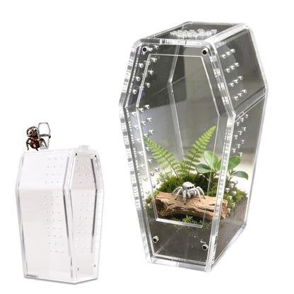 Jumping Spider Enclosure,Jumping Spider Enclosure Desktop Habitat,Terrarium (Enclosure Only) - color: Crystal Clear