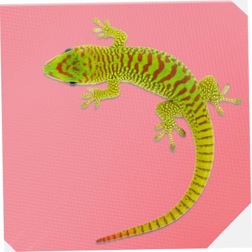 Reptile Carpet Substrate Mat for Leopard Gecko Snake Tortoise Lizard Bedding Terrarium Liner Reusable Cuttable Lightweight Flooring for Reptile Tanks