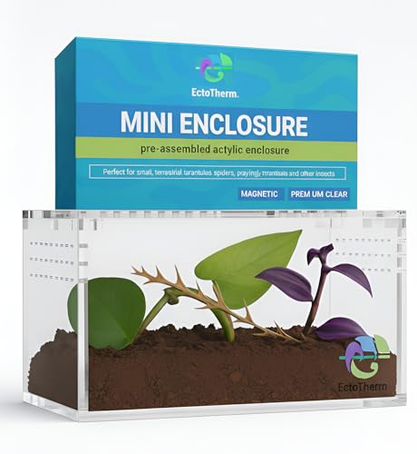 EctoTherm Acrylic Tarantula Enclosure - Versatile Terrarium for Terrestrial Tarantula, Scorpion, Isopod, Jumping Spider, Millipede, Snail, Small Reptile & Insect Habitat Kit