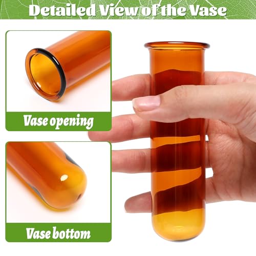 Glass Plant Propagation Station with 5 Test Tubes Colorful Planter Vase Birthday Gifts for Women in Wooden Stand - color: Color-01
