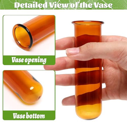 Glass Plant Propagation Station with 5 Test Tubes Colorful Planter Vase Birthday Gifts for Women in Wooden Stand - color: Color-01
